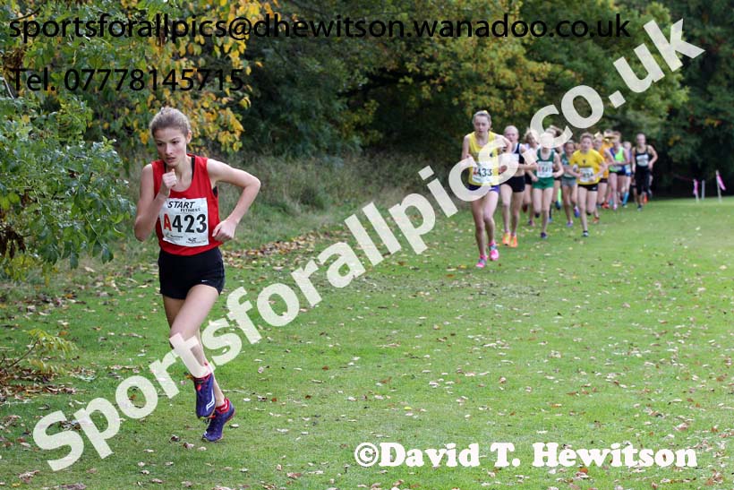 Girls under-15s Northern Cross Country Relays, Graves Park, Sheffield. Photo: David T. Hewitson/Sports for All Pics
